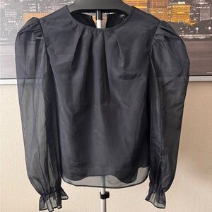 Express Black Sheer Blouse